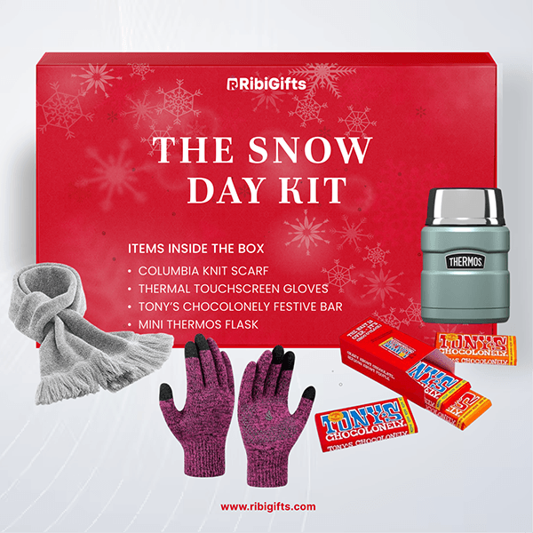 The Snow Day Kit